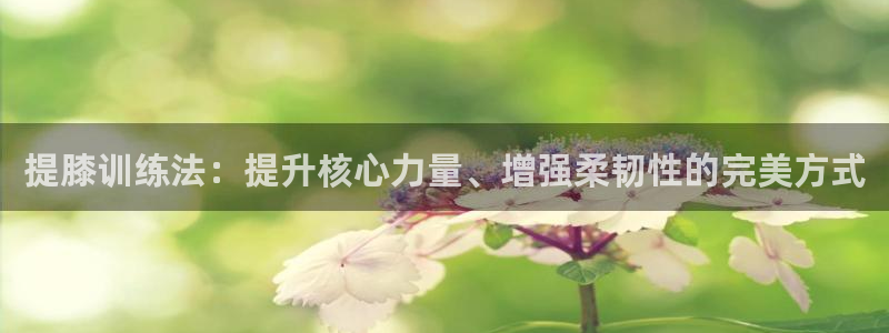 球友体育NBA在线观看：提膝训练法：提升核心力量、增强柔韧性的完美方式