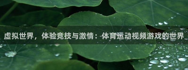 球友体育app官方下载手机版：虚拟世界，体验竞技与激情：体育运动视频游戏的世界