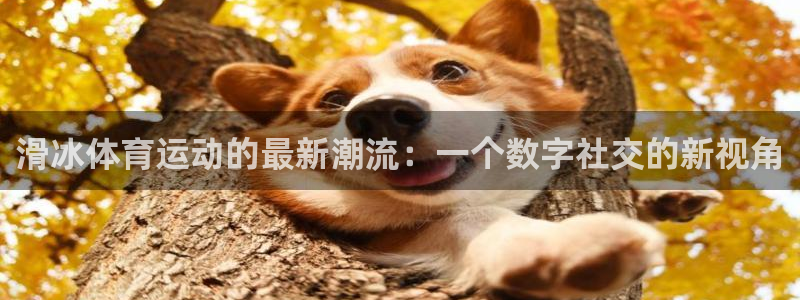 球友体育-NBA直播App下载：滑冰体育运动的最新潮流：一个数字社交的新视角