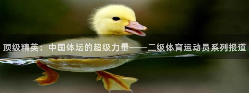 球友体育手机版下载：顶级精英：中国体坛的超级力量——二级体育运动员系列报道