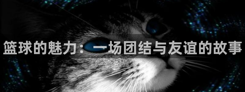 球友体育下载：篮球的魅力：一场团结与友谊的故事