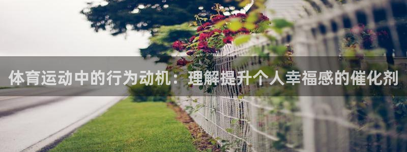 球友体育是正规平台吗：体育运动中的行为动机：理解提升个人幸福感的催化剂