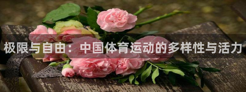 球友体育在线观看的网站是什么：极限与自由：中国体育运动的多样性与活力