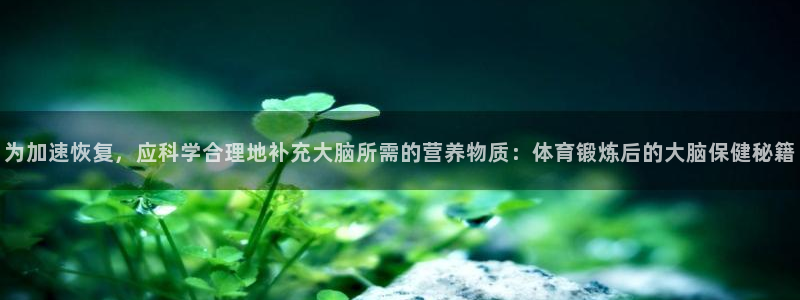 球友体育zhibo：为加速恢复，应科学合理地补充大脑所需的营养物质：体育锻炼后的大脑保健秘籍
