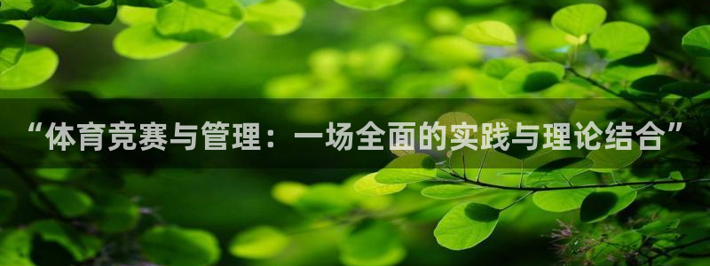 球友体育-NBA直播App下载：“体育竞赛与管理：一场全面的实践与理论结合”